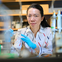 Meilin “Ete” Chan: Making Science More Accessible
