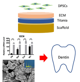 Combination of 3D Printing and ALD for Dentin Fabrication from Dental Pulp Stem Cell Culture