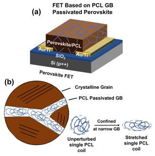 Effects of polymer grain boundary passivation on organic–inorganic hybrid perovskite field-effect transistors